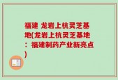 福建 龙岩上杭灵芝基地(龙岩上杭灵芝基地：福建制药产业新亮点)