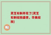 灵芝石斛开花了(灵芝石斛绽放盛世，华美绽放)