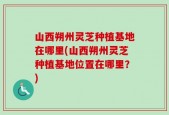 山西朔州灵芝种植基地在哪里(山西朔州灵芝种植基地位置在哪里？)