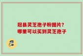 冠县灵芝孢子粉图片？哪里可以买到灵芝孢子