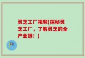 灵芝工厂视频(探秘灵芝工厂，了解灵芝的全产业链！)