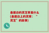 悬崖边的灵芝草是什么(悬崖边上的灵草：“灵芝”的故事)