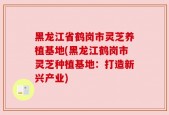 黑龙江省鹤岗市灵芝养植基地(黑龙江鹤岗市灵芝种植基地：打造新兴产业)