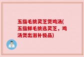 五指毛挑灵芝煲鸡汤(五指鲜毛挑选灵芝，鸡汤煲出滋补极品)