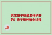 灵芝孢子粉是怎样护肝的？孢子粉种植全过程