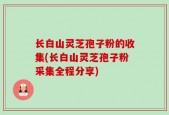 长白山灵芝孢子粉的收集(长白山灵芝孢子粉采集全程分享)