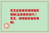 灵芝盆景修剪绣球推荐视频(盆景修剪技巧｜灵芝、绣球修剪推荐视频)