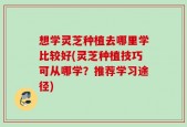 想学灵芝种植去哪里学比较好(灵芝种植技巧可从哪学？推荐学习途径)