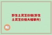 野生土灵芝价格(野生土灵芝价格大幅攀升)