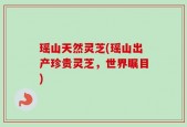 瑶山天然灵芝(瑶山出产珍贵灵芝，世界瞩目)