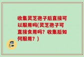 收集灵芝孢子后直接可以服用吗(灵芝孢子可直接食用吗？收集后如何服用？)