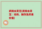 武阳水灵芝(武阳水灵芝：功效、制作及药用价值)