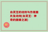 白灵芝的功效与作用图片及功效(白灵芝：神奇的健康之源)