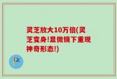 灵芝放大10万倍(灵芝变身!显微镜下重现神奇形态!)
