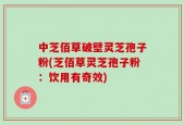 中芝佰草破壁灵芝孢子粉(芝佰草灵芝孢子粉：饮用有奇效)