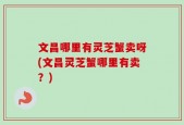 文昌哪里有灵芝蟹卖呀(文昌灵芝蟹哪里有卖？)