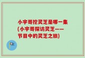 小宇哥挖灵芝是哪一集(小宇哥探访灵芝——节目中的灵芝之旅)