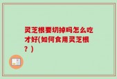 灵芝根要切掉吗怎么吃才好(如何食用灵芝根？)