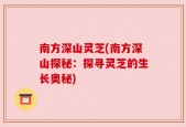 南方深山灵芝(南方深山探秘：探寻灵芝的生长奥秘)