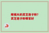 规模大的灵芝孢子粉？灵芝孢子粉哪家好