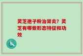灵芝孢子粉治肾炎？灵芝有哪些形态特征和功效