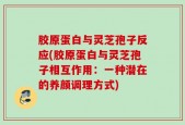 胶原蛋白与灵芝孢子反应(胶原蛋白与灵芝孢子相互作用：一种潜在的养颜调理方式)
