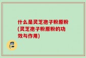 什么是灵芝孢子粉原粉(灵芝孢子粉原粉的功效与作用)