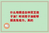 什么地质适合种灵芝孢子油？听说孢子油能够提高免疫力，真的