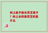 树上能不能长灵芝孢子？树上长的像灵芝的是什么
