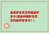 道县野生灵芝种植面积多少(道县种植野生灵芝的面积有多大？)