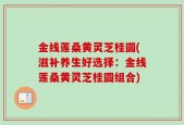 金线莲桑黄灵芝桂圆(滋补养生好选择：金线莲桑黄灵芝桂圆组合)