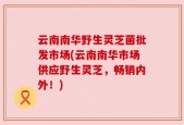 云南南华野生灵芝菌批发市场(云南南华市场供应野生灵芝，畅销内外！)