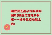 破壁灵芝孢子粉瓶装的图片(破壁灵芝孢子粉瓶——提升免疫功能之选)