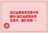 浙江山里有灵芝孢子吗图片(浙江山区现有灵芝孢子，图片证实！)