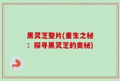 黑灵芝整片(重生之秘：探寻黑灵芝的奥秘)