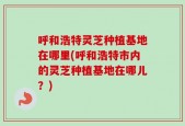 呼和浩特灵芝种植基地在哪里(呼和浩特市内的灵芝种植基地在哪儿？)