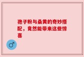 孢子粉与桑黄的奇妙搭配，竟然能带来这些惊喜