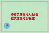 香春灵芝图片大全(香菇灵芝图片全收录)