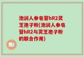 池润人参皂苷hR2灵芝孢子粉(池润人参皂苷hR2与灵芝孢子粉的联合作用)