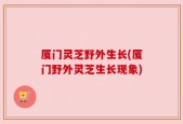 厦门灵芝野外生长(厦门野外灵芝生长现象)