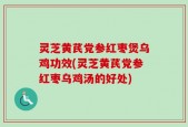 灵芝黄芪党参红枣煲乌鸡功效(灵芝黄芪党参红枣乌鸡汤的好处)