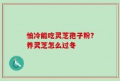 怕冷能吃灵芝孢子粉？养灵芝怎么过冬