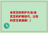 赤灵芝的养护方法(赤灵芝的护理技巧，让你的灵芝更健康！)