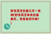 野生灵芝价值几万一克啊(野生灵芝每克价值数万，究竟有何不同？)