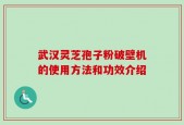 武汉灵芝孢子粉破壁机的使用方法和功效介绍