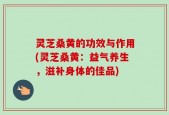 灵芝桑黄的功效与作用(灵芝桑黄：益气养生，滋补身体的佳品)