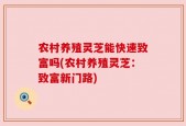 农村养殖灵芝能快速致富吗(农村养殖灵芝：致富新门路)