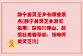 静宁县灵芝乡有哪些景点(静宁县灵芝乡游览指南：探索兴隆山、感受壮美雅草湖、领略秀美灵芝沟)