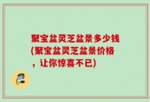 聚宝盆灵芝盆景多少钱(聚宝盆灵芝盆景价格，让你惊喜不已)