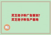 灵芝孢子粉广告策划？灵芝孢子粉生产基地